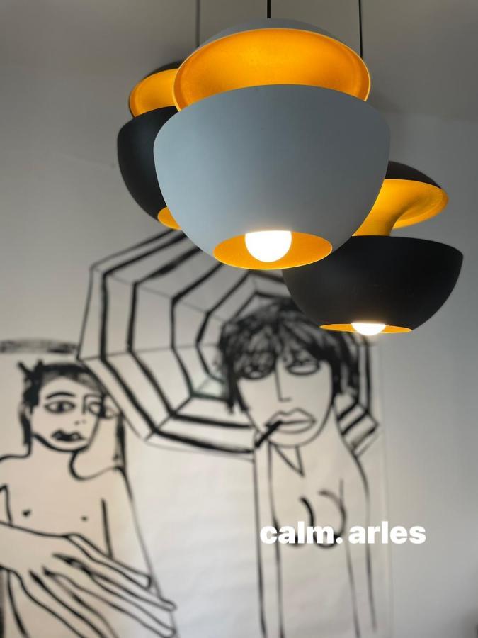 Maison Terrasse Beauduc, アルル エクステリア 写真