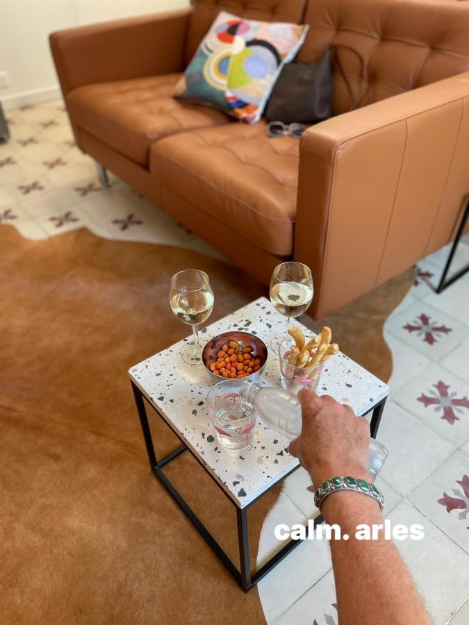 Maison Terrasse Beauduc, アルル エクステリア 写真
